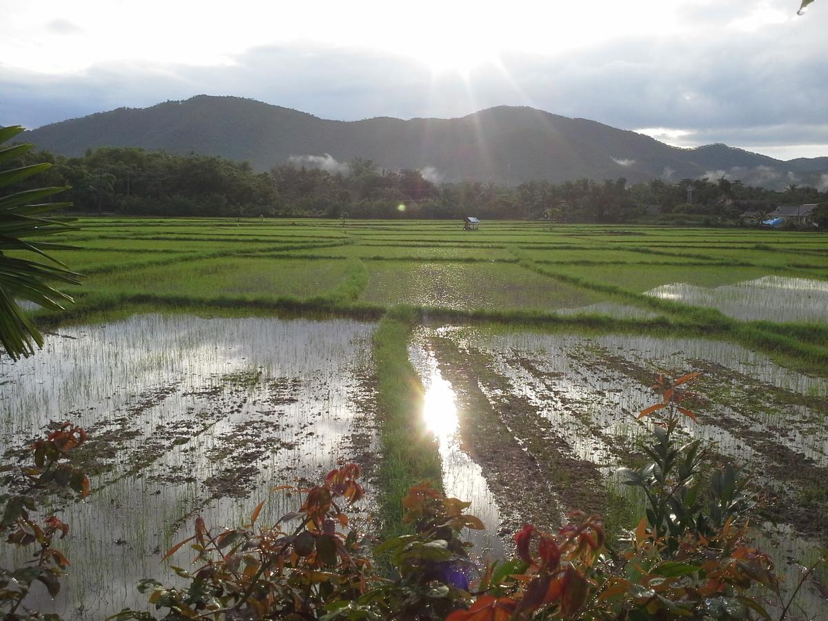 Ban Thung Ma Nieo Jamjuree Garden B&B 외부 사진